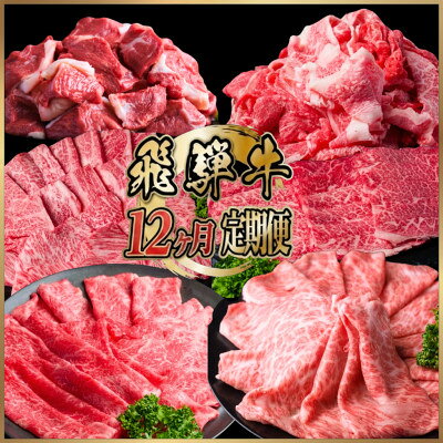 【毎月定期便】飛騨牛 少なめ定期便 計4.2kg 全12回_ 定期便 飛騨牛 牛肉 和牛 少なめ すき焼き しゃぶしゃぶ 焼肉 ロース すね 冷凍 美味しい 人気 おすすめ【配送不可地域：離島】【4090775】