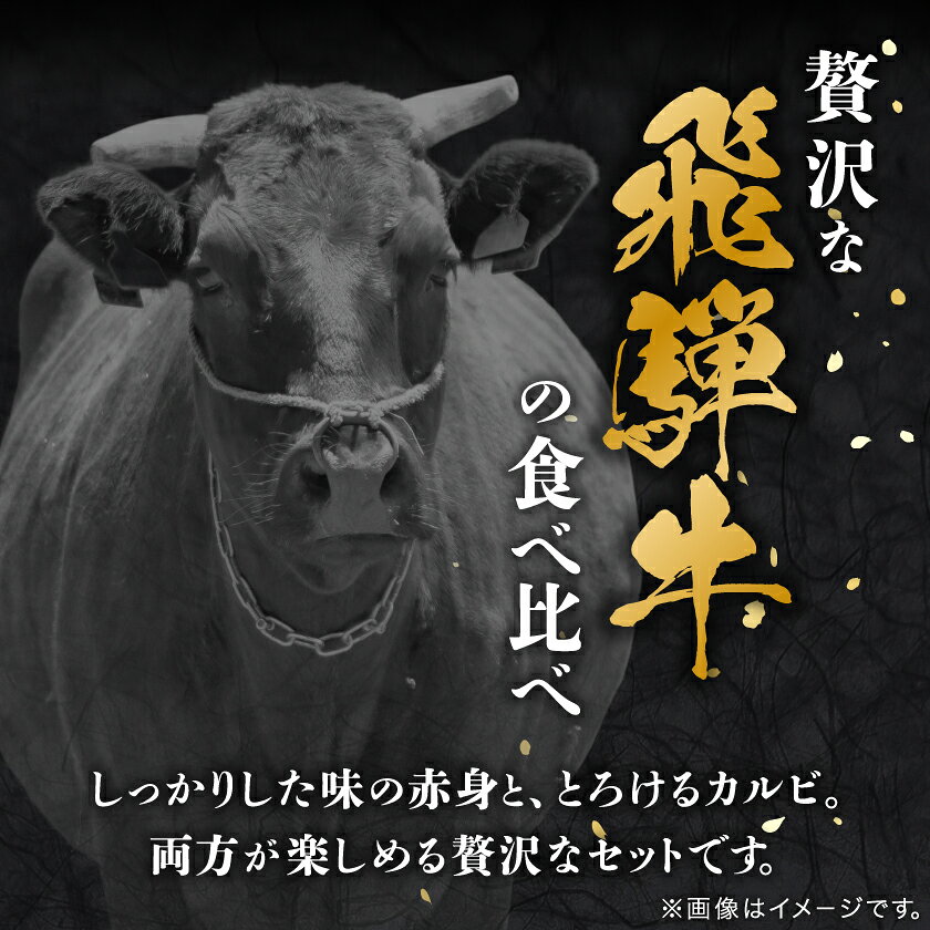 【ふるさと納税】飛騨牛　厳選カルビ・赤身(焼肉・BBQ用)500g(各250g)～　A4～A5等級 小分け_ 牛肉 飛騨牛 国産牛 カルビ 赤身 焼肉 BBQ A4 A5 モモ カタ 冷凍 人気 おすすめ 送料無料 贈答 ギフト 【配送不可地域：離島】【G1543764】 f212091-hashima-10001437 岐阜県羽島市 サンプル画像2