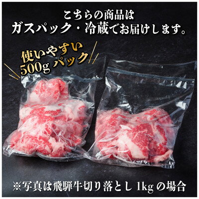 【ふるさと納税】飛騨牛 切り落とし　300g～ 訳あり【冷蔵便】A4～A5等級　黒毛和牛【配送不可地域：離島】【G1531513】