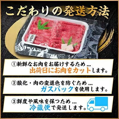 【ふるさと納税】飛騨牛 切り落とし　300g～ 訳あり【冷蔵便】A4～A5等級　黒毛和牛【配送不可地域：離島】【G1531513】 f212091-hashima-10001206 岐阜県羽島市 サンプル画像3