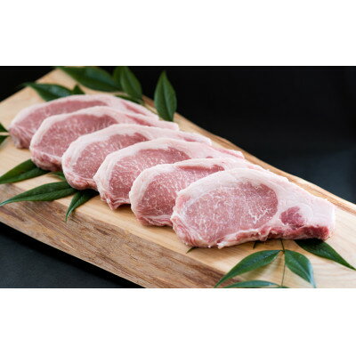三浦豚 豚肉 ステーキ 900g とんかつ ブランド豚[配送不可地域:離島]