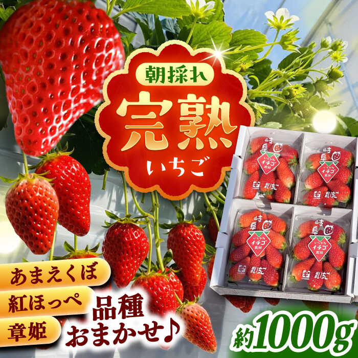 【ふるさと納税】【先行予約】【2025年12月中旬から2026年3月上旬に順次発送】石川農園 完熟いちご 4パック入り(ご家庭用) 産地直送 イチゴ 苺 フルーツ くだもの 果物 お取り寄せ 岐阜県産 恵那市産 /恵那市/クリエイティブファーマーズ[AUAH020]