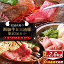 【ふるさと納税】【3回定期便】 飛騨牛ロース1kg カルビ700g 三浦豚ロース900g 豪華3点セット しゃぶしゃぶ・焼肉 和牛 国産 霜降り 恵那市 / 岩...