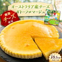 【ふるさと納税】ガトーフロマージュ / チーズケーキ ちーず チーズ ケーキ スイーツ デザート おかし お菓子 おやつ お取り寄せ プレゼント /恵那市/銀の...