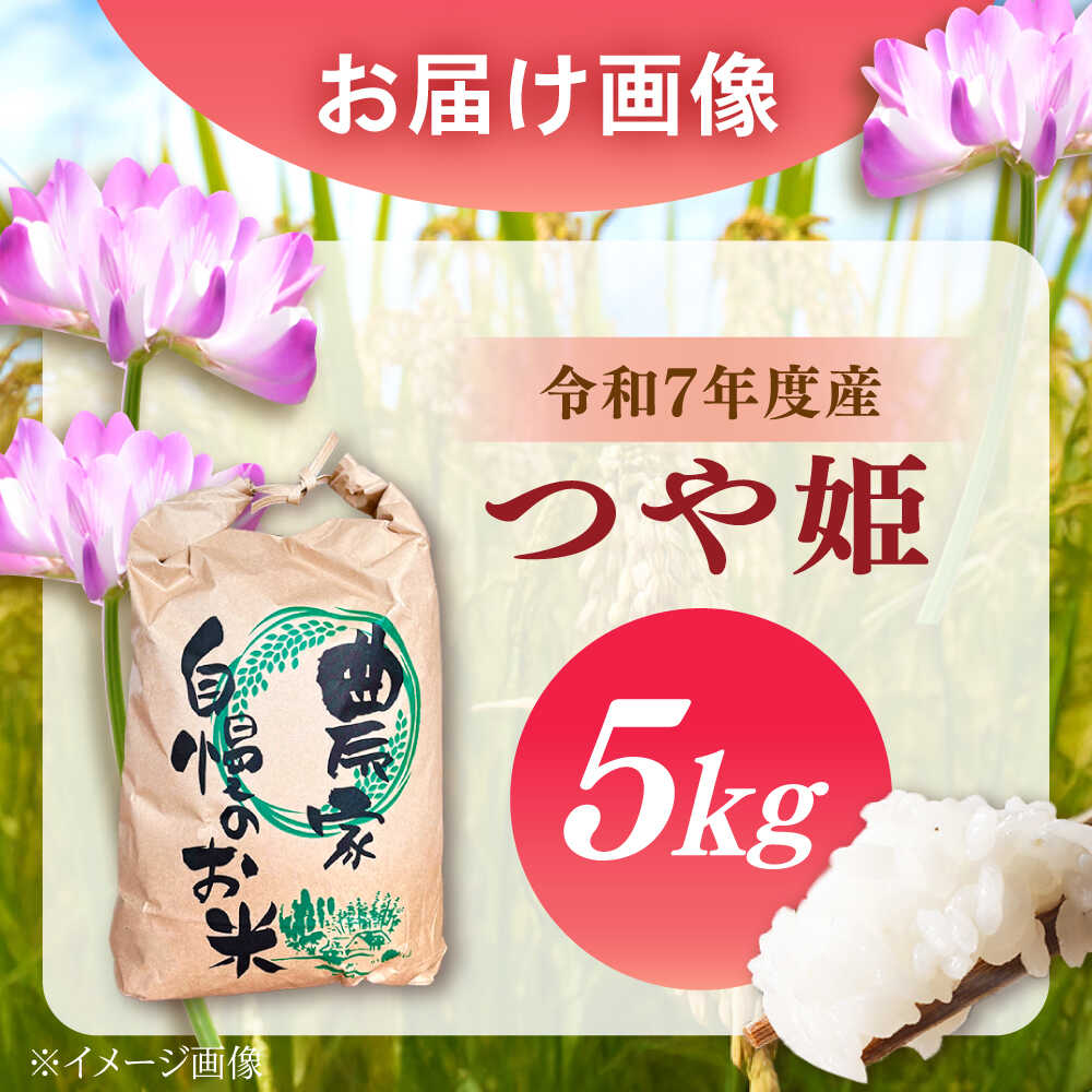 【ふるさと納税】お米【スピード配送】 新米 つや姫 〈ふるさと納税限定〉令和8年度産つや姫 5kg / つや姫 5kg ツヤ姫 お米 米 精米 白米 ブランド米 産地直送 スピード配送 限定 食事 甘み 美味しい ご飯 お取り寄せ 贈答 ギフト 岐阜県 / 恵那市 / トモファーム[AUCA005] f212105-ena-10001243 岐阜県恵那市 サンプル画像3