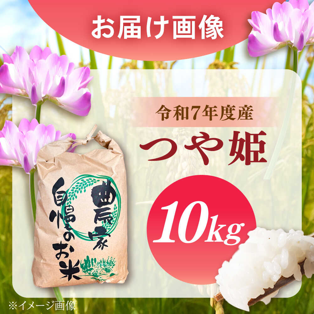 【ふるさと納税】【スピード配送】 新米 つや姫 10kg 令和8年度産 〈ふるさと納税限定〉/ つや姫 10kg ツヤ姫 お米 米 精米 白米 ブランド米 産地直送 スピード配送 限定 食事 甘み 美味しい ご飯 お取り寄せ 贈答 ギフト 岐阜県 / 恵那市 / トモファーム[AUCA006] f212105-ena-10001242 岐阜県恵那市 サンプル画像3