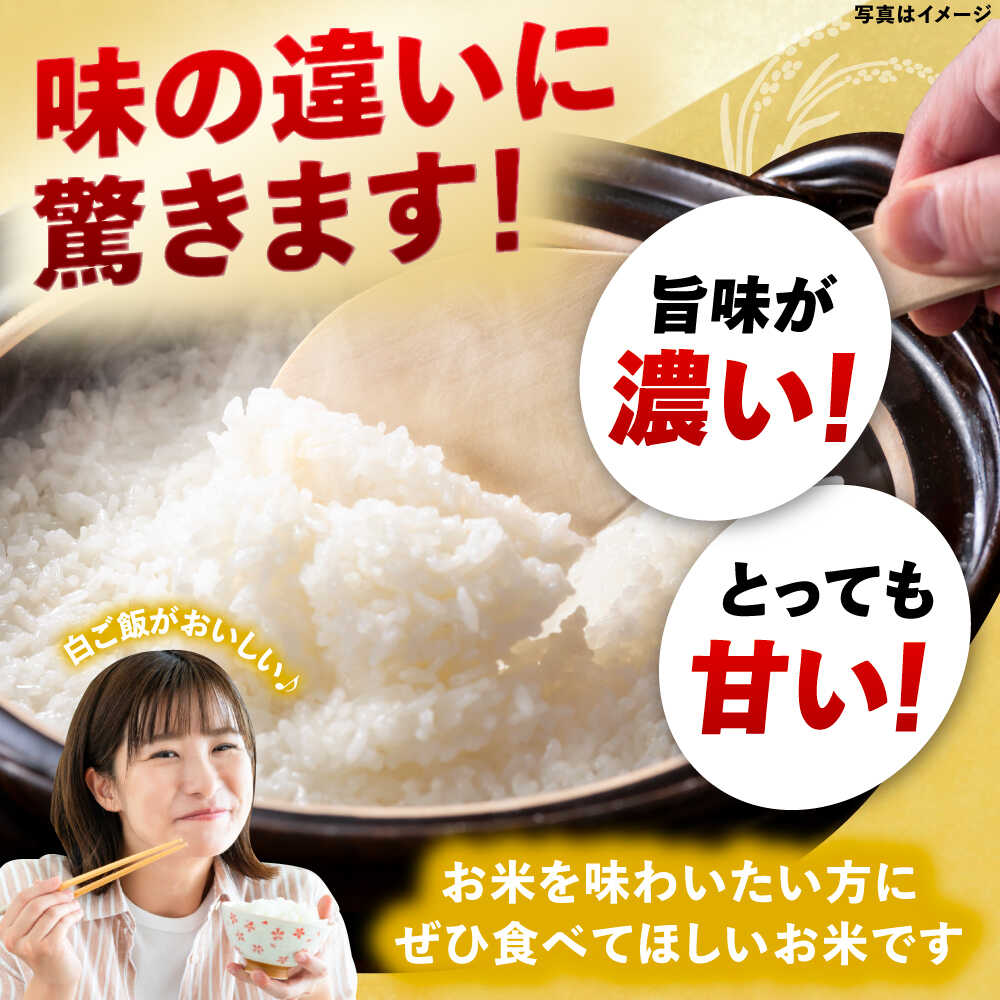 【ふるさと納税】【選べる発送月】【R8年新米】恵那岩村とみだコシヒカリ精米5kg / こめ コメ 米 おコメ お米 おこめ 精米 せいまい コシヒカリ こしひかり 新米 しんまい 5kg /恵那市/山丸屋商店[AUDA001] f212105-ena-10000008 岐阜県恵那市 サンプル画像2