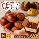 【ふるさと納税】【先行予約】【2025年10月下旬より順次発送】岐阜県産栗「東美濃ぽろたん」 2kg / 栗 くり 栗きんとん 栗 くり 栗きんとん 和菓子 ス...