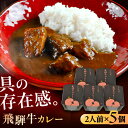 【ふるさと納税】-あふひ 贅の極み- 飛騨牛カレー 2人前×5個セット / レトルトカレー ご当地カレー 常温保存 時短 / 恵那市 / テンポイント[AUEU...