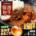 【ふるさと納税】丸小本店 老舗肉屋の淡路島産の玉ねぎまるごと和牛カレー 2人前450g×2個セット レトルト ビーフカレー 国産牛 恵那市 / テンポイント[A...