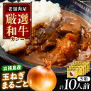【ふるさと納税】丸小本店 老舗肉屋の淡路島産の玉ねぎまるごと和牛カレー 2人前450g×5個セット レトルト ビーフカレー 国産牛 恵那市 / テンポイント[A...