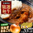 【ふるさと納税】丸小本店 老舗肉屋の淡路島産の玉ねぎまるごと和牛カレー 2人前450g×10個セット レトルト ビーフカレー 国産牛 恵那市 / テンポイント[...