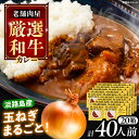 【ふるさと納税】丸小本店 老舗肉屋の淡路島産の玉ねぎまるごと和牛カレー 2人前450g×20個セット レトルト ビーフカレー 国産牛 恵那市 / テンポイント[...