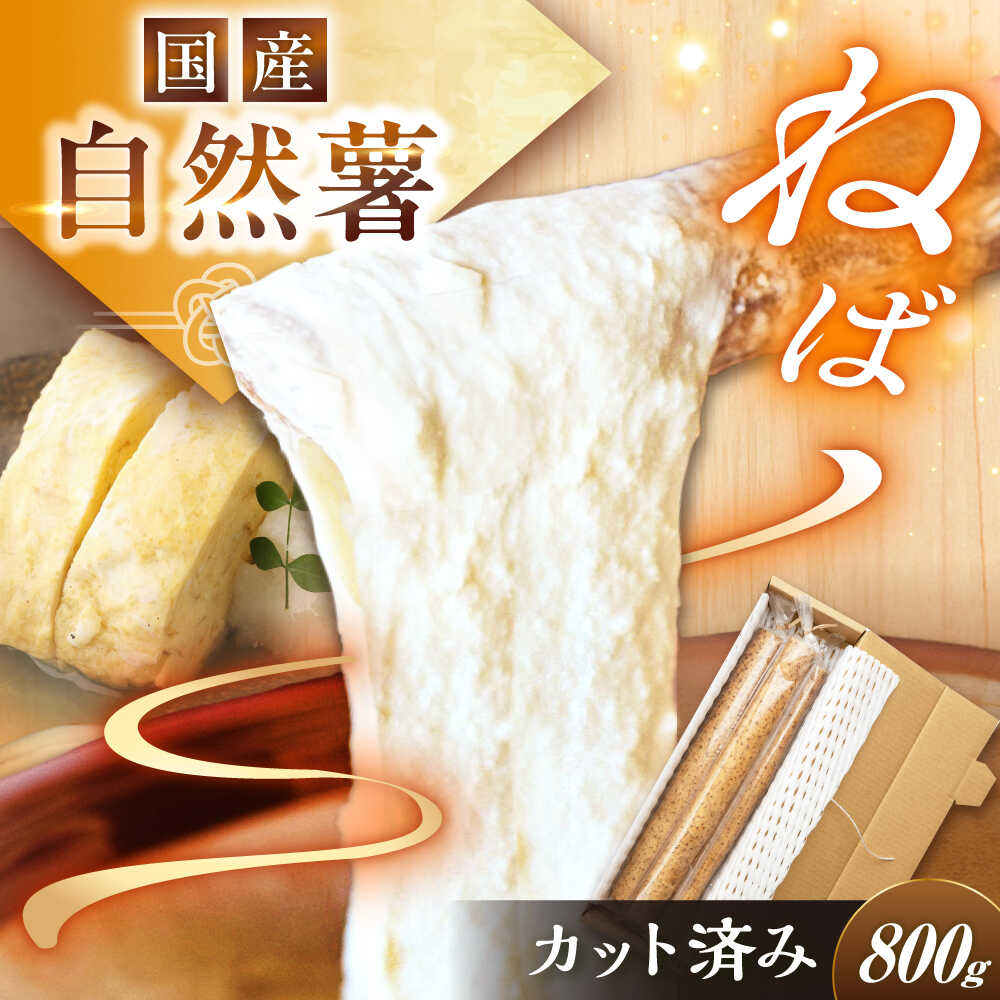 [定番人気]自然薯 中(800g)/ 自然薯 じねんじょ 山芋 やまいも 贈答 / 恵那市 / 水戸屋[AUFZ009]
