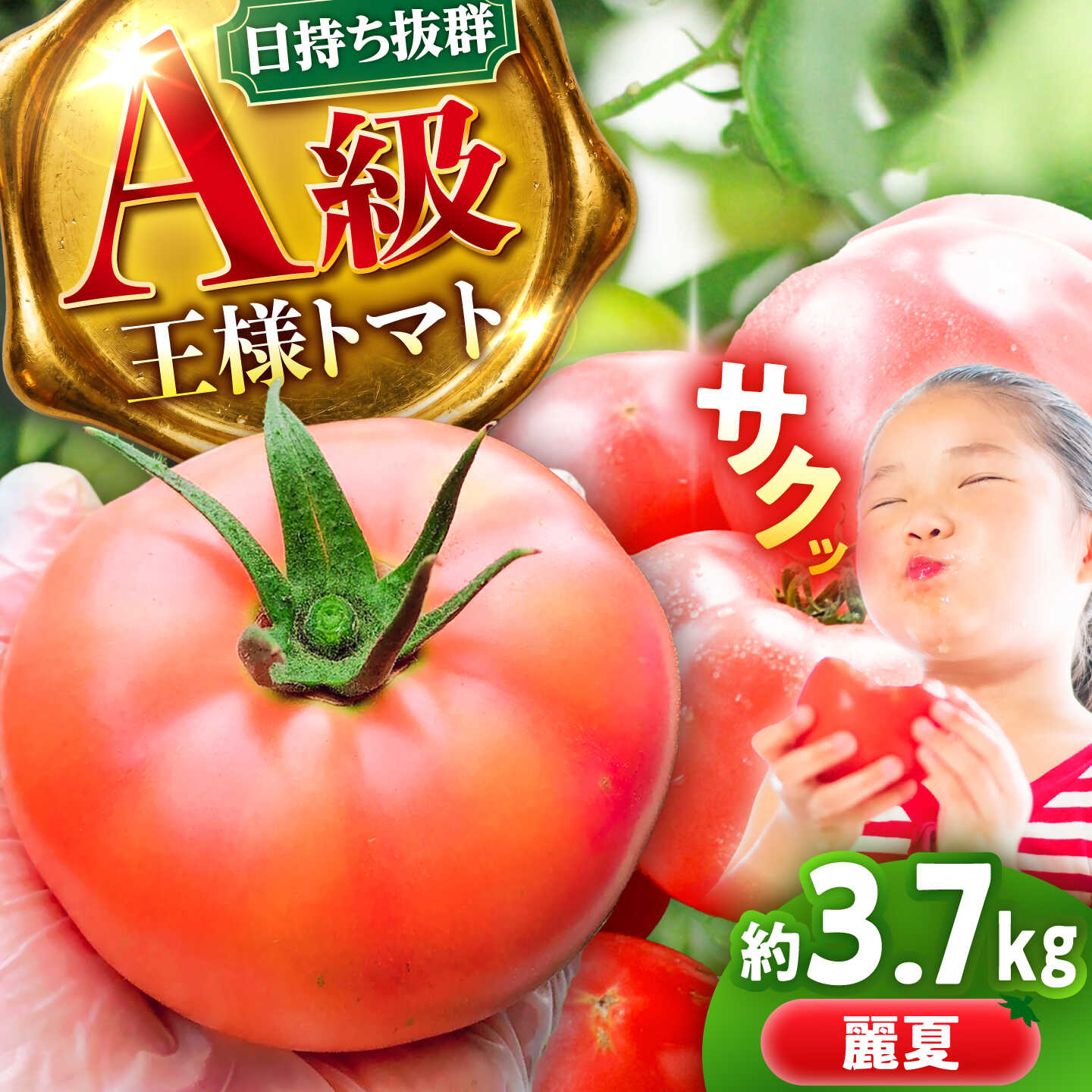 乐天商城 - 【ふるさと納税】【7月上旬から順次発送】王様トマト 3.7kg 箱入り / トマト とまと 箱入り 3.7キロ 国産 / 恵那市 / 阿部農園[AUGA005]