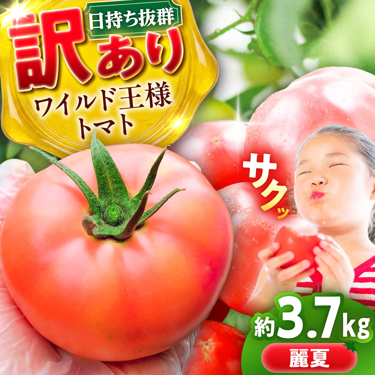 【ふるさと納税】【7月上旬から順次発送】＼訳あり／ワイルド王様トマト 3.7kg / トマト とまと 箱入...