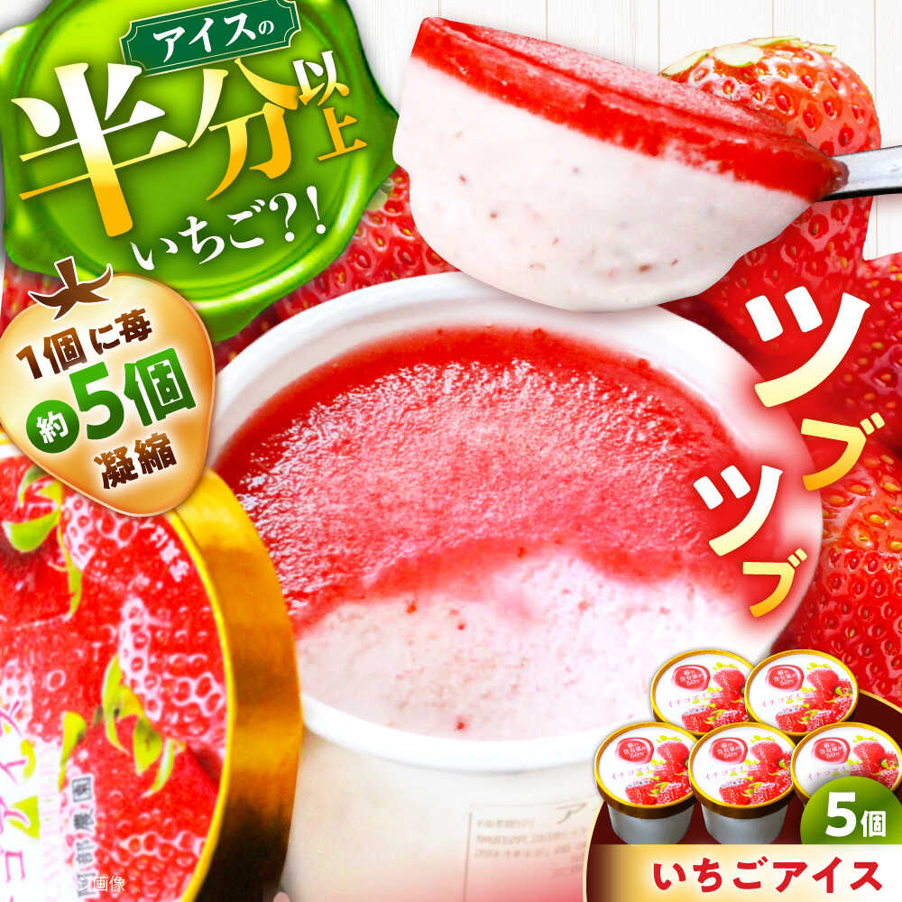 いちごアイス5個入り / 苺 いちご イチゴ アイス いちごアイス / 恵那市 / 阿部農園[AUGA010]