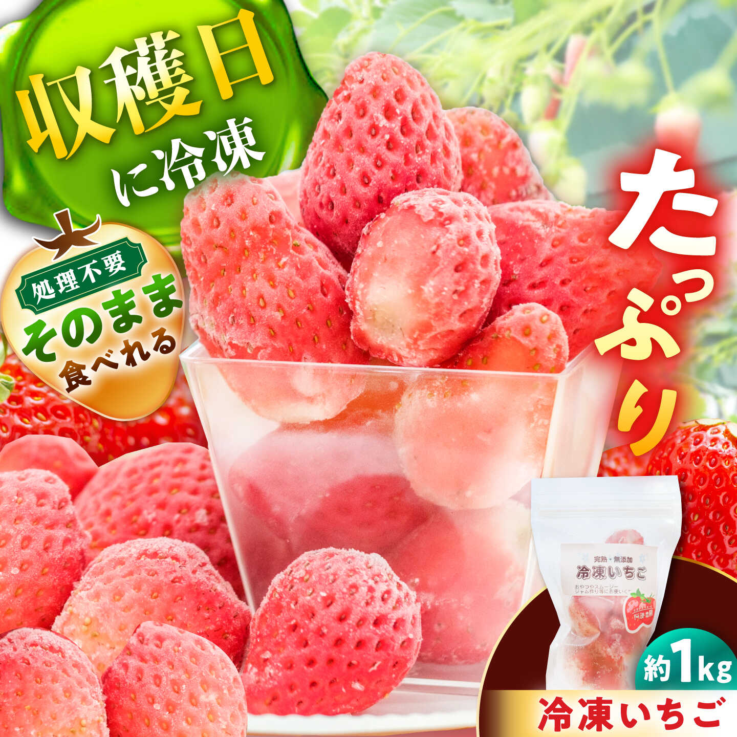 Rakuten - 【ふるさと納税】冷凍いちご 1kg / 苺 いちご 冷凍 1キロ 冷凍いちご / 恵那市 / 阿部農園[AUGA013]