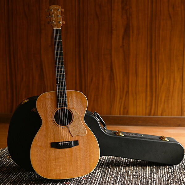 【ふるさと納税】【 アコースティックギター 】 K.Yairi VINCENT VF-30 Blues ｜VINCENT ハードケース付き ギター guitar 送料無料 M836S01
