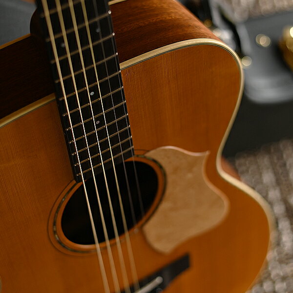 【ふるさと納税】【 アコースティックギター 】 K.Yairi VINCENT VF-30 Blues ｜VINCENT ハードケース付き ギター guitar 送料無料 M836S01