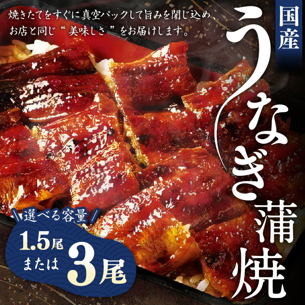 【ふるさと納税】 選べる容量 うなぎ 蒲焼 1.5尾 または 3尾 | かも川茶寮 うを完 老舗 国産 鰻 冷凍 お惣菜 惣菜 ギフト お土産 贈答 うなぎ蒲焼き 岐阜 岐阜県 美濃加茂 美濃加茂市 送料無料