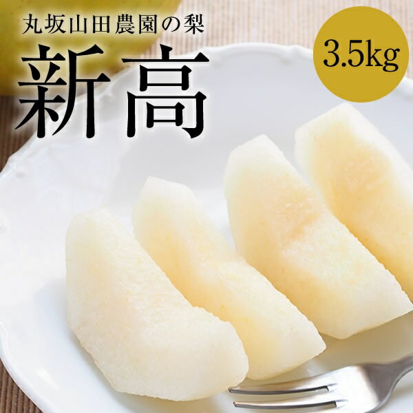 【ふるさと納税】 【先行予約】 【2024年10月中旬より順次発送】 山之上 梨 1箱 新高 3.5kg程度 | 丸坂山田農園 産地直送 ナシ なし にいたか ニイタカ くだもの 果物 フルーツ みのかも やまのうえ 産直 お取り寄せ 送料無料 M11S70のサムネイル