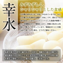 【ふるさと納税】 【先行予約】 山之上 梨 1箱 幸水 2.5kg程度（2023年発送） | 丸坂山田農園 産地直送 ナシ なし こうすい くだもの 果物 フルーツ 産直 お取り寄せ 送料無料 M08S39･･･ 画像1