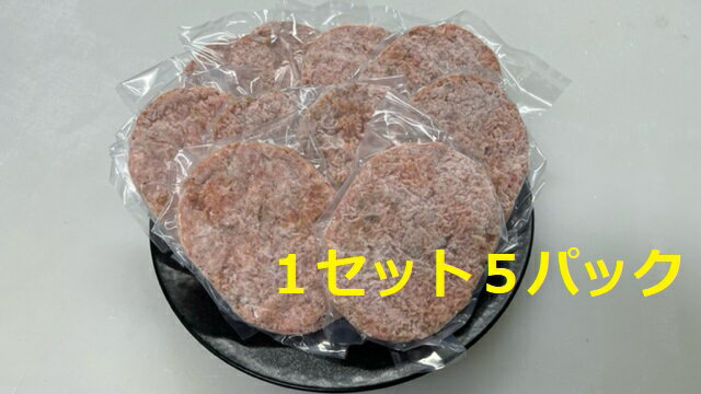 [レビューキャンペーン対象商品]飛騨牛入り ハンバーグ 5個 セット | 丸坂山田農園 お肉 肉 ブランド牛 手作り 惣菜 和牛 黒毛和牛 冷凍 イベント キャンプ BBQ アウトドア 岐阜 岐阜県 美濃加茂 美濃加茂市 送料無料 M08S66