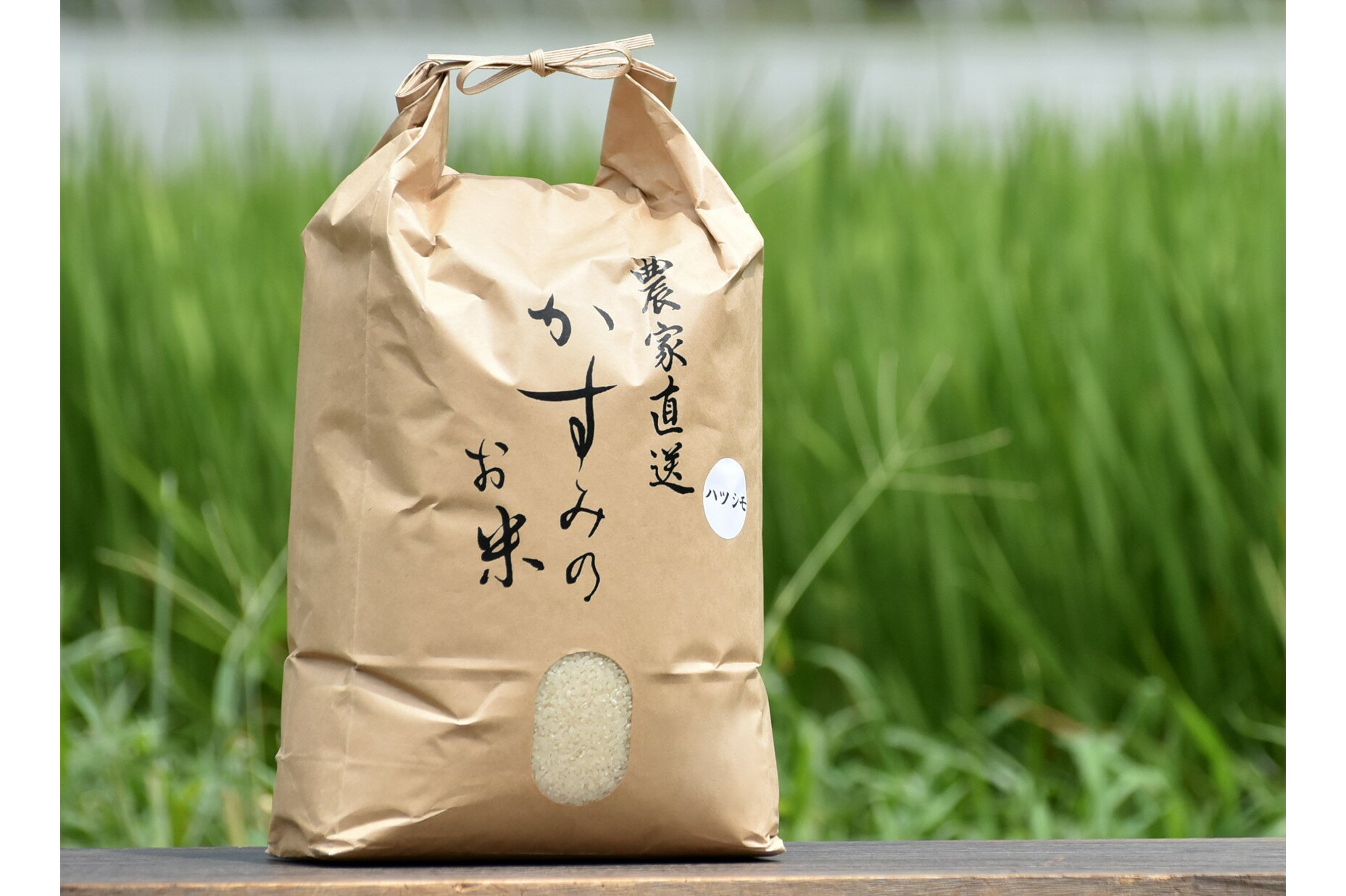 【ふるさと納税】令和4年産米 美濃加茂の お米 定期便（隔月） 4回セット ( 10kg×4回 ) | ハツシモ 春見ライス 米 コメ M44S11