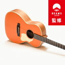 【ふるさと納税】【BEAMS JAPAN監修】アコースティックギター VN-3 Standard BJ