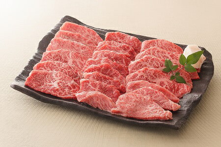 飛騨牛 モモ 焼肉 用 500g【59E1161】