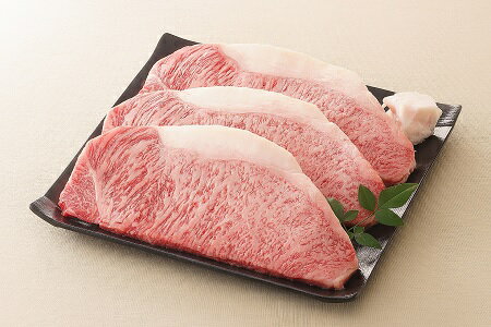 [レビューキャンペーン対象商品]飛騨牛 サーロインステーキ サーロイン 肉 ×3枚(計約540g)