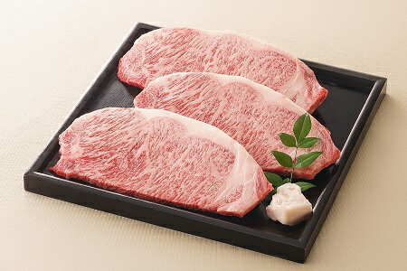 飛騨牛 サーロインステーキ サーロイン 肉 ×3枚（計600g） 【59E1124】