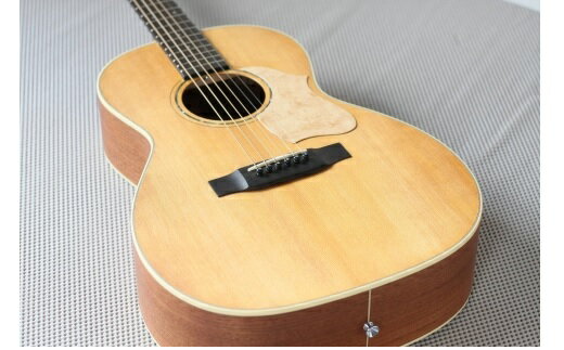【ふるさと納税】【 アコースティックギター 】 VINCENT VN-30 Blues ｜VINCENT ハードケース付き アコースティック ギター 楽器 送料無料 M66M02
