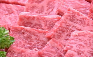 【ふるさと納税】M10S58飛騨牛A5等級焼肉用400g(モモ肉)