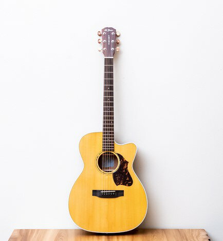 【ふるさと納税】【 アコースティックギター 】K.Yairi VINCENT VF-9c ｜VINCENT ギター 楽器 送料無料 M704S01