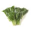 【ふるさと納税】シャキッと野菜しゃぶしゃぶセット | Greens Farm ホタル M06S23
