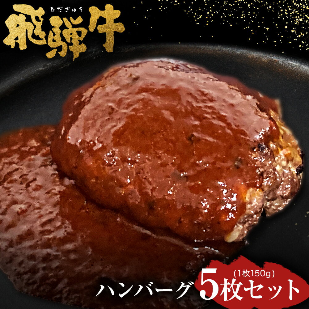 飛騨牛 ハンバーグ 5枚セット(1枚150g)個数300個限定で ウインナー コロッケ 5個付き1個当たり60g | 肉のかた山 送料無料 M16S29