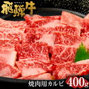 飛騨牛 カルビ 焼肉用 400g| 肉のかた山 送料無料 M16S31