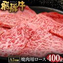  飛騨牛 A5 等級 焼肉 用 （ ロース 400g） | 肉のかた山 牛肉 送料無料 M22S38