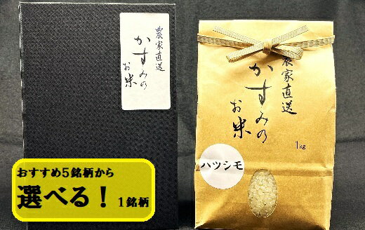 【ふるさと納税】お米マイスターが届...