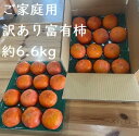 【ふるさと納税】【訳あり】【先行受付】精華園 の 家庭用 富有柿 約 6.6kg | 柿 果物 果実 フルーツ 美濃加茂市 岐阜県 冷蔵 送料無料 【2025年12月上旬~12月下旬迄発送予定】