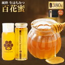 【ふるさと納税】【レビューキャンペーン対象商品】国産 無添加 MINOKAMO HONEY はちみつギフトBOX(2本入)| 藤井養蜂 蜂蜜 非加熱 百花蜜 は...