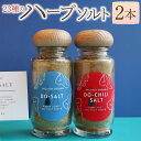 【ふるさと納税】【ハーブ専門店】23種のハーブソルト 2種類 | 調味料 塩 ハーブソルト ハーブ ソルト チリソルト チリ 人気 岐阜 みのかも岐阜県 美濃加...
