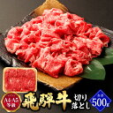 【ふるさと納税】\行列の絶えない人気精肉店が厳選/ 飛騨牛 切り落とし 500g A5 A4 等級 | 肉のかた山 岐阜県 国産 牛 牛肉 ブランド牛 和牛 黒...