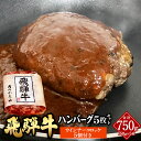 【ふるさと納税】飛騨牛 ハンバーグ 5枚 セット(1枚150g)ウインナー コロッケ 5個付き1個当たり60g | 肉のかた山 牛肉 肉 ブランド牛..