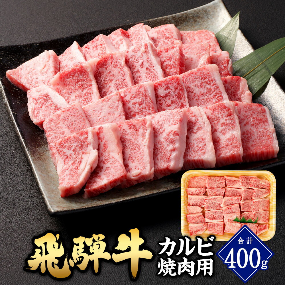 飛騨牛 カルビ 焼肉用 400g| 肉のかた山 送料無料 M16S31