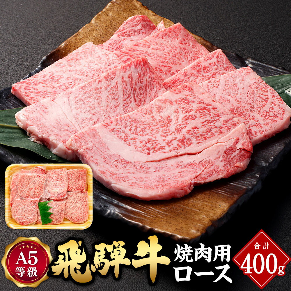 ڤդ뤵Ǽǡۡڥӥ塼ڡоݾʡ ͵ A5      400g | Τ   ֥ɵ...