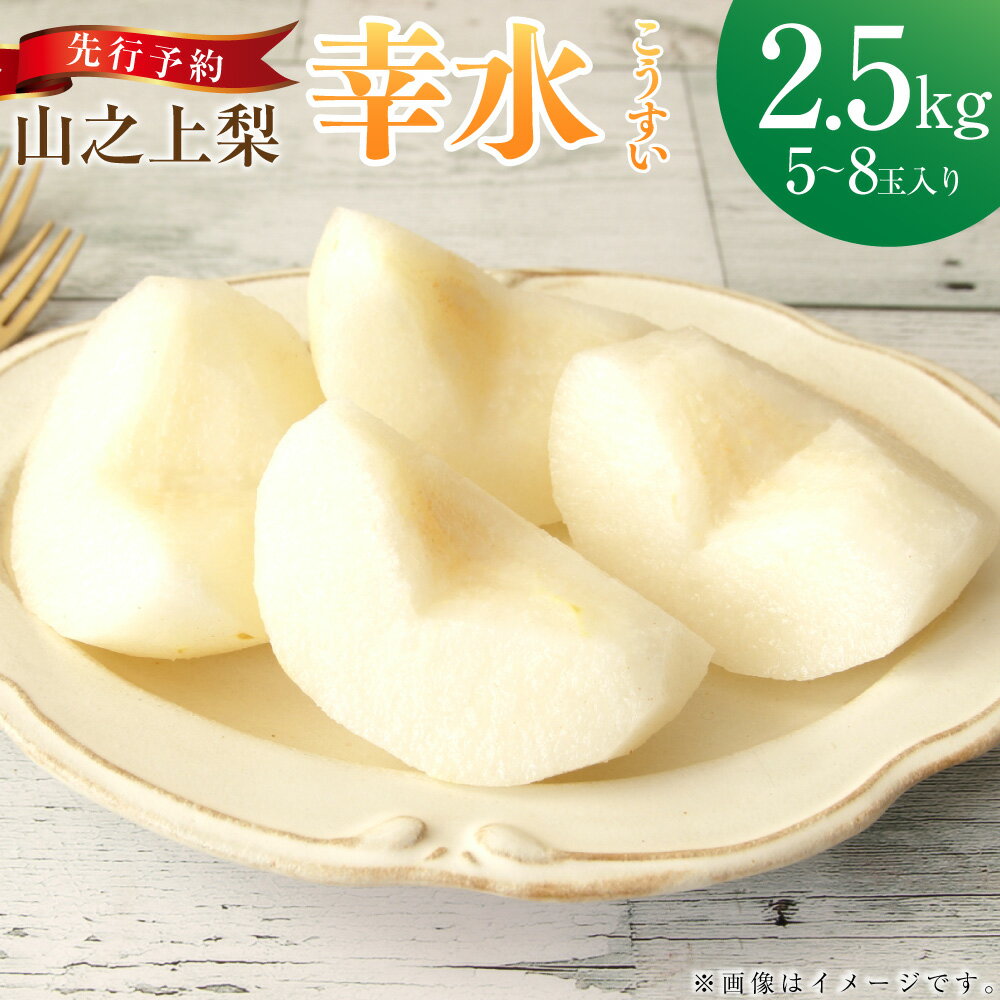 [レビューキャンペーン対象商品][先行予約]「丸坂山田農園」山之上梨 幸水 1箱 約2.5kg(5〜8玉) | 梨 ナシ なし くだもの 果物 果実 フルーツ 冷蔵 岐阜県産 国産 岐阜県 美濃加茂市 送料無料 [2025年8月上旬〜8月下旬発送予定]