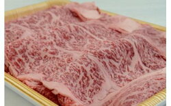 【ふるさと納税】 飛騨牛 A5 等級 すき焼き 用（ ロース 750g） | 肉のかた山 牛肉 すきやき 送料無料 M48S25 画像1